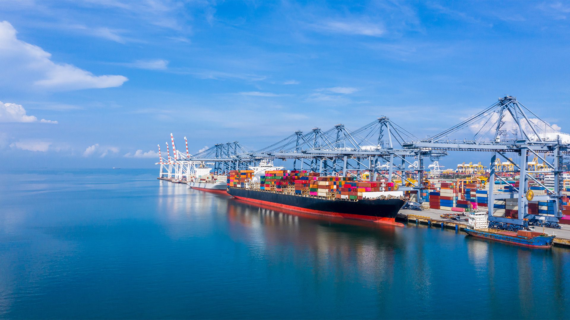 Nejad Company ships containers worldwide from China
